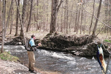 Boatless Fishing Forum, Reports, Info • View Topic   Another First ...