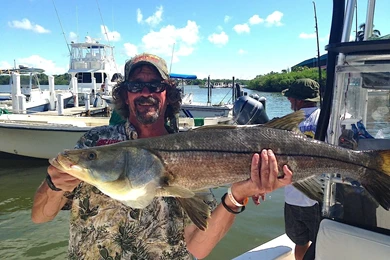 11/2/13, Fort Myers Fishing Report: Snook, 'Tween Waters Marina ...