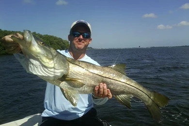 Louisville Fisherman Lands 45 Inch Snook In Lower Tampa Bay ...