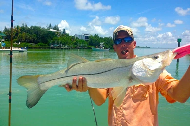 Tuesday, 9/24/13, Captiva Fishing Report: Blind Pass, Snook ...