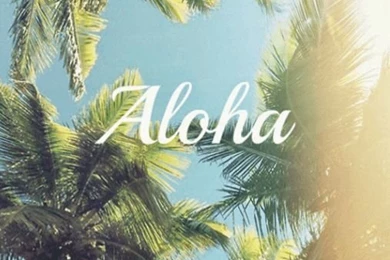 iPhone 6 Si iPhone 6 Plus Wallpapers Pentru IOS 8