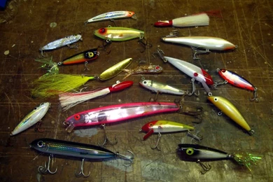 What Is Your Favorite Snook LURE?