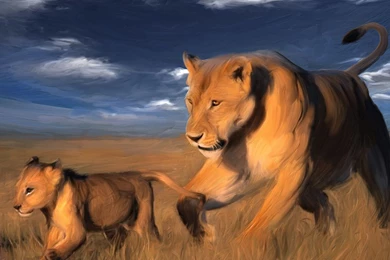 Lions In The Savannah Wallpapers And Images   Wallpapers, Pictures ...