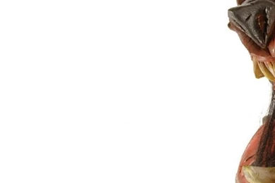 Gwar iPhone 5 Wallpapers