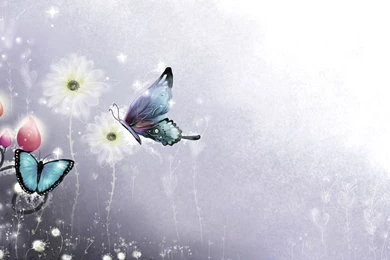 Butterfly Wallpapers