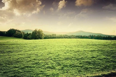 Android Phone HD Wallpapers