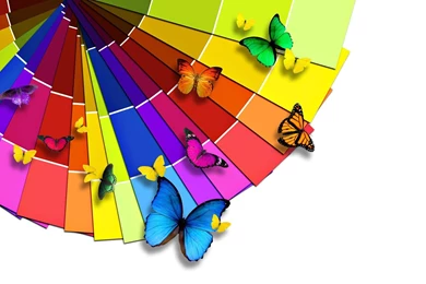 Colorful Butterflies Wallpapers Full HD For PC 38422 Full HD ...