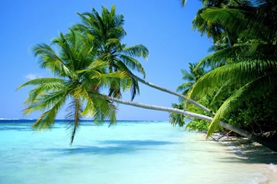 Wallpapers Desktop Full Screen   Wallpapers HD Base