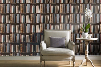 Library Books And Bookcases