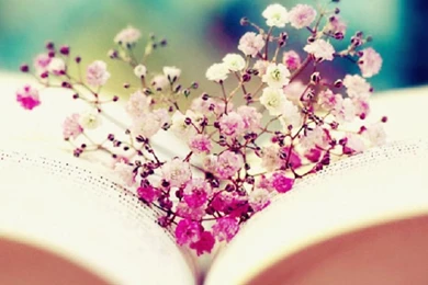 Book Wallpapers   Reading Wallpapers (32699170)   Fanpop