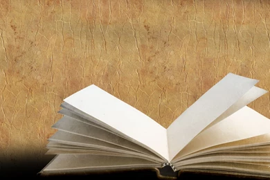 Vintage Wallpapers Books