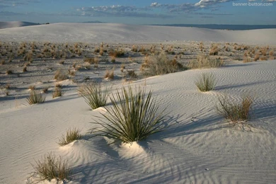 New Mexico Wallpapers 161223