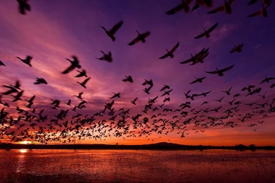 New Mexico Photo – Landscape Wallpapers – National Geographic Photo ...