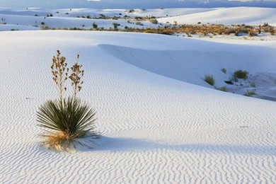 Desktop Wallpapers   White Sands, New Mexico   Nature