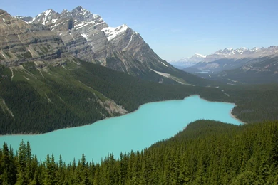 Peyto Lake Canadian Rockies >> HD Wallpaper, Get It Now!