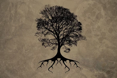 Tree Silhouette HD Wallpapers