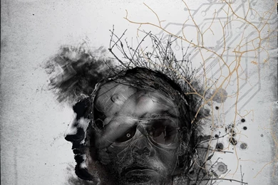 Artwork Stone Sour House Of Gold Wallpapers