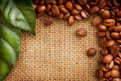 Coffee Beans HD Wallpapers