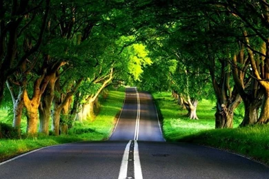 The Right Place To Get Free Animated Backgrounds For Windows XP ...