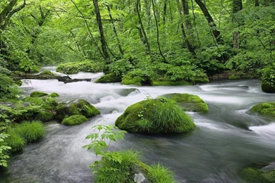 Hd Nature Wallpapers Free Download   Desktop Backgrounds