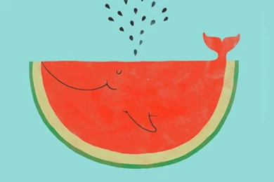 Gallery For   Watermelon Whale Wallpapers
