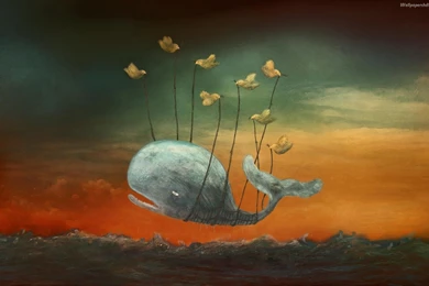 Twitter Fail Whale Wallpapers   610373