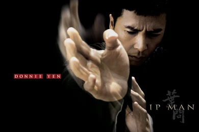 Ip Man Wallpapers