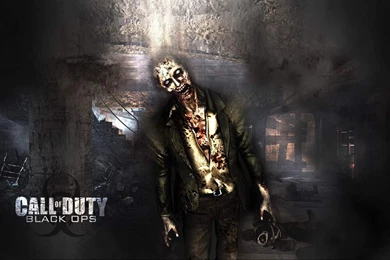 Gallery For   Cod Black Ops Wallpapers Zombies