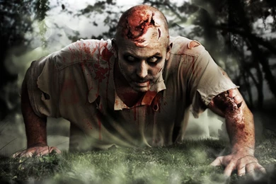 Zombie Wallpapers Picture