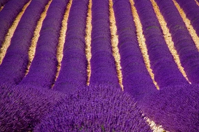 New iPad Mini 1024×1024 HD Wallpapers [100+ Images Updated Today ...