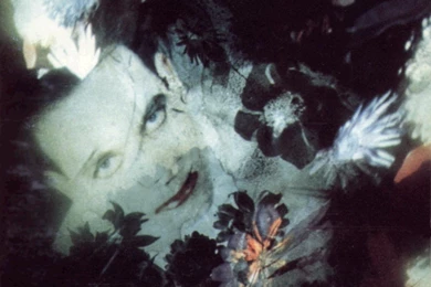 The Cure   Cover Art   The Cure Wallpapers (2194163)   Fanpop