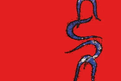 The Cure  Cover Art   The Cure Wallpapers (2194177)   Fanpop