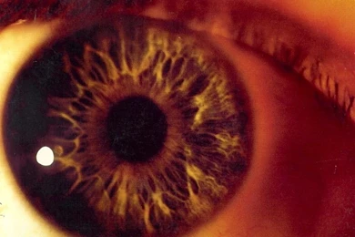 Curiosity   The Cure Backgrounds