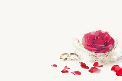 Free Wedding Ring And Rose Backgrounds For PowerPoint   Love PPT ...