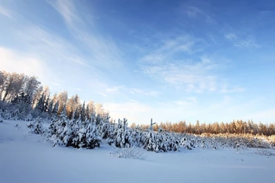 Winter Wonderland Desktop Wallpaper, Winter Wonderland Images, New ...