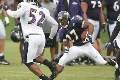 Ray Rice And Ray Lewis