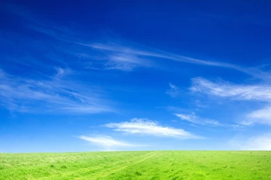Blue Sky Wallpapers   653079