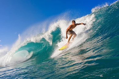 Surfer Wave Wallpapers