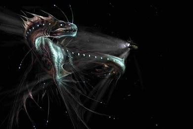 Windows Dragon Wallpapers