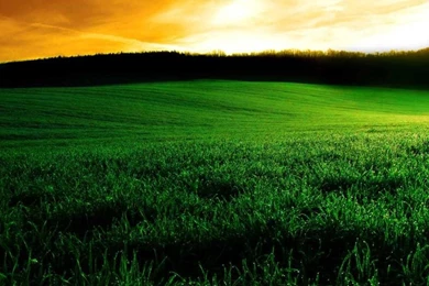 Z Wallpapers Ipad 2 Apple Awesome 181   1024 X 1024   Ipad 2 Apple ...