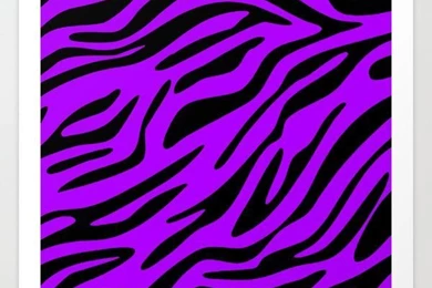 Neon Purple Zebra Art Print By M Studio