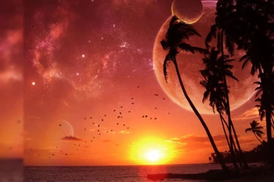 Desktop Wallpapers Hd Free  HD Widescreen Wallpapers