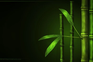 Gallery For   Free Bamboo Desktop Wallpapers