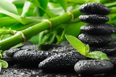 Bamboo Black Stones >> HD Wallpaper, Get It Now!