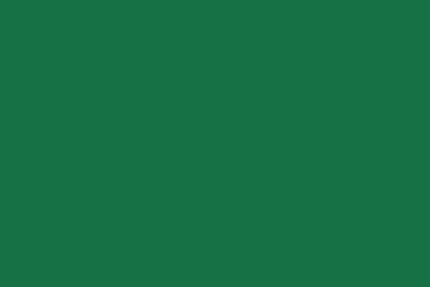 2560x1440 dark spring green solid color background.jpg