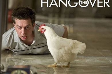 Free Torrent The Hangover Movie Computer Desktop Wallpapers