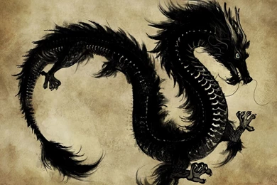Gallery For   Chinese Dragon Wallpapers