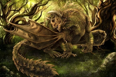 Mythical Fire Dragons   Wallpaper.