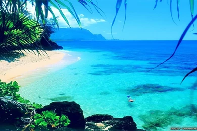 Summer Wallpapers 3   Best Wallpapers Collection