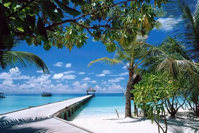 Summer Wallpapers   Seasonal Wallpapers Page 2   Crazy Frankenstein